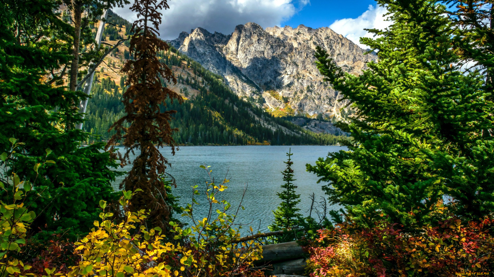 jenny lake, grand tetons, wyoming, , , , jenny, lake, grand, tetons